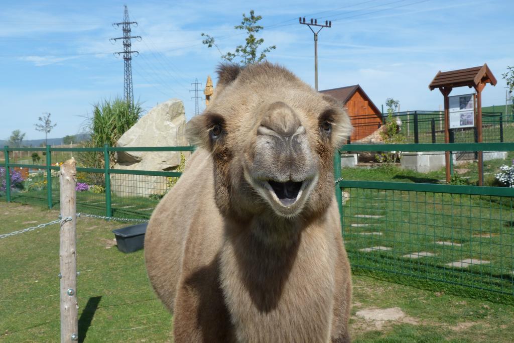 Farma Wenet Agroturismo Broumov