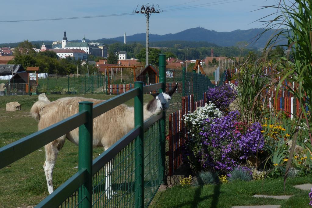 Farma Wenet Agroturismo Broumov
